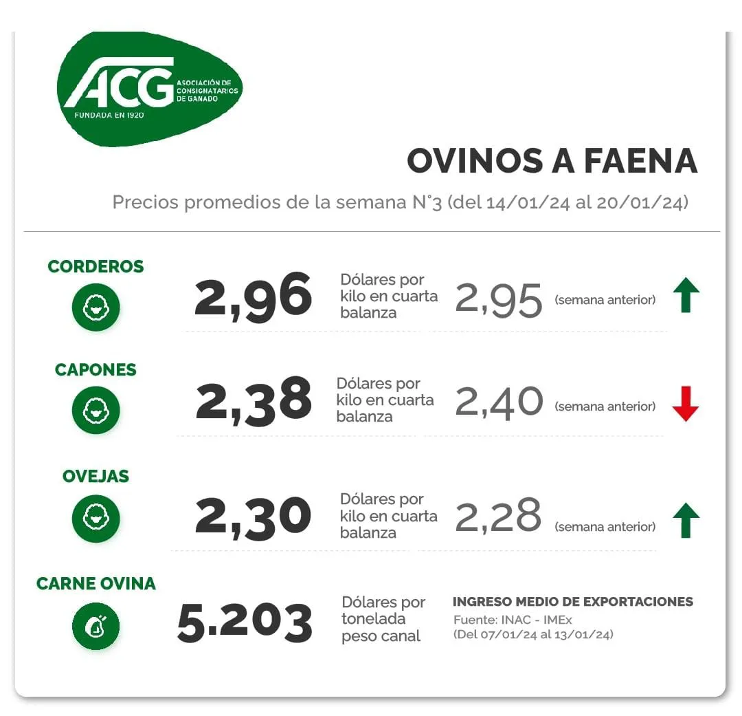 WhatsApp Image 2024-01-23 at 10.55.52