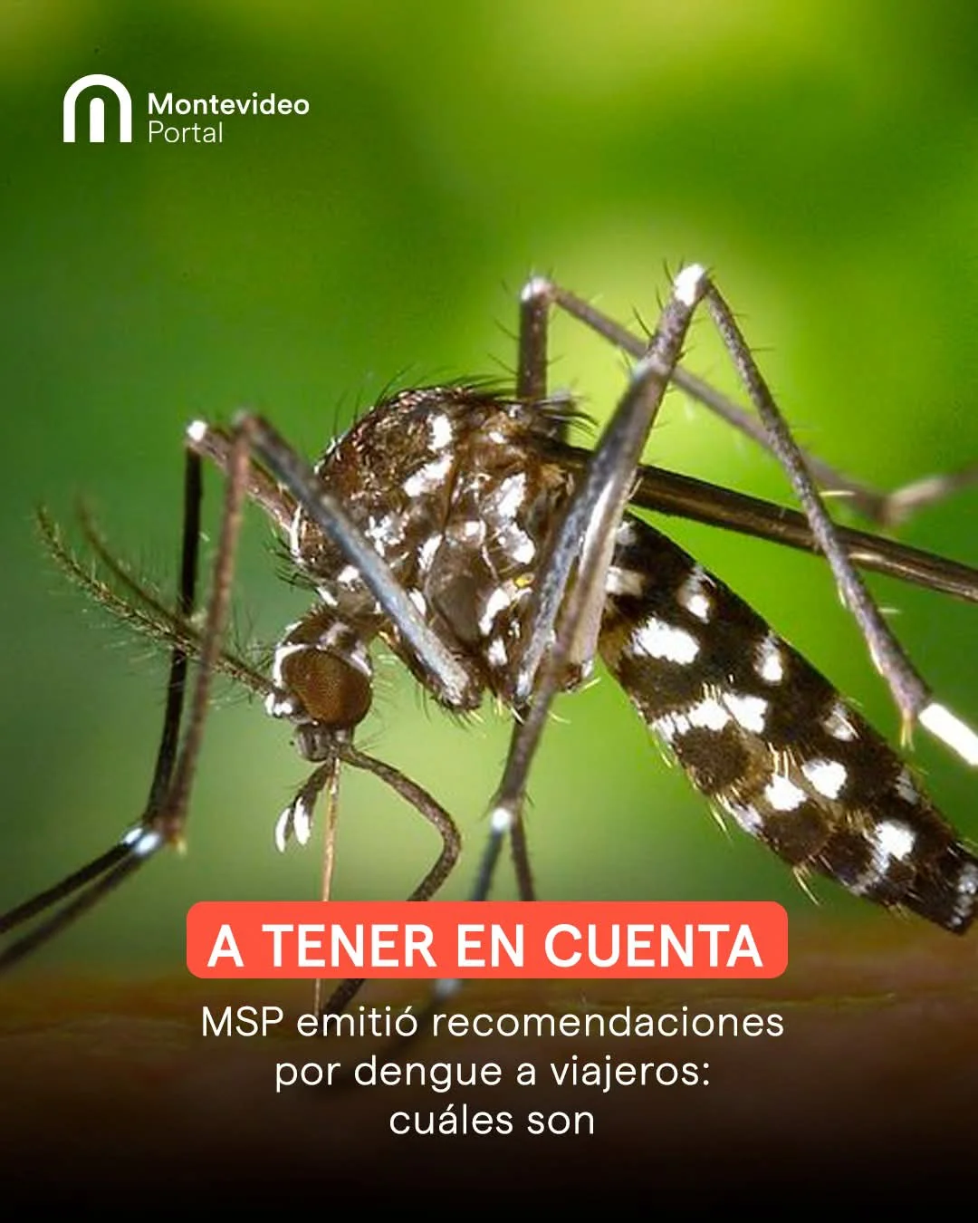 FB_IMG_1775424450167