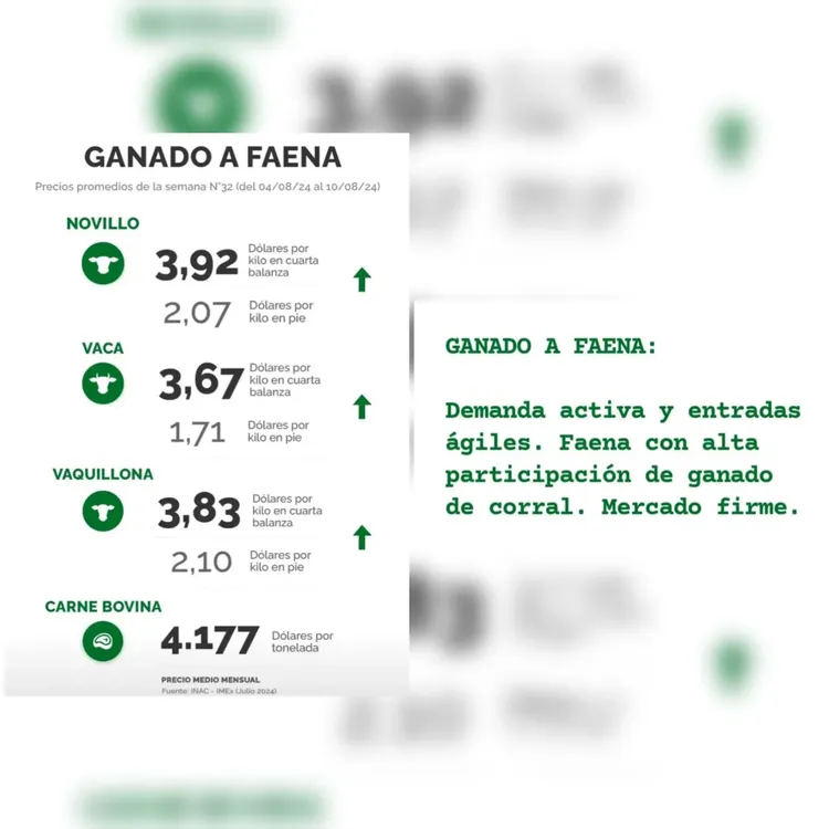 InShot_20240813_100649994