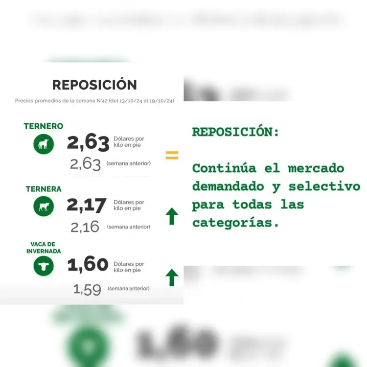 InShot_20241022_104258912