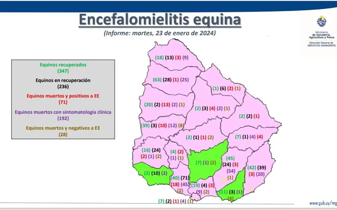 WhatsApp Image 2024-01-25 at 13.18.37