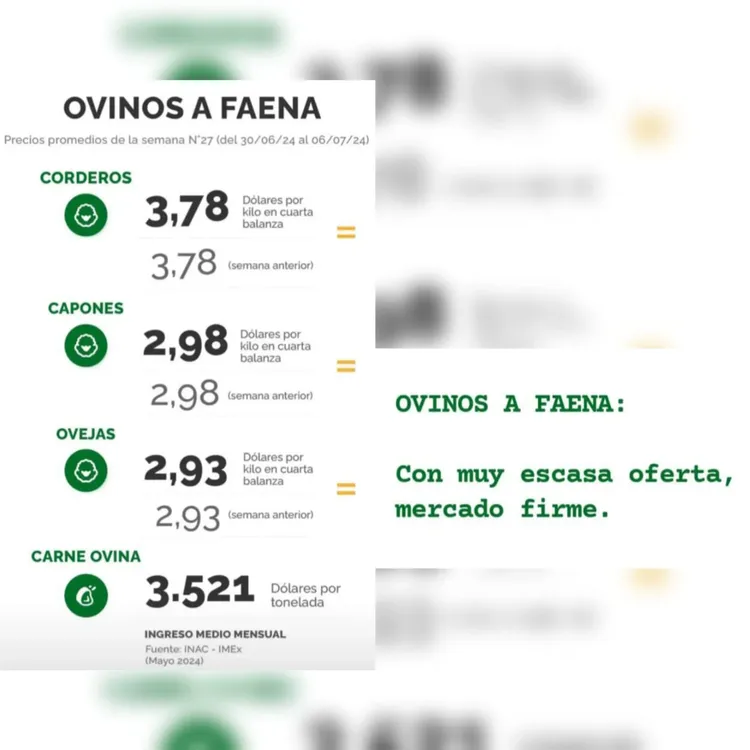 WhatsApp Image 2024-07-09 at 14.44.07 (2)