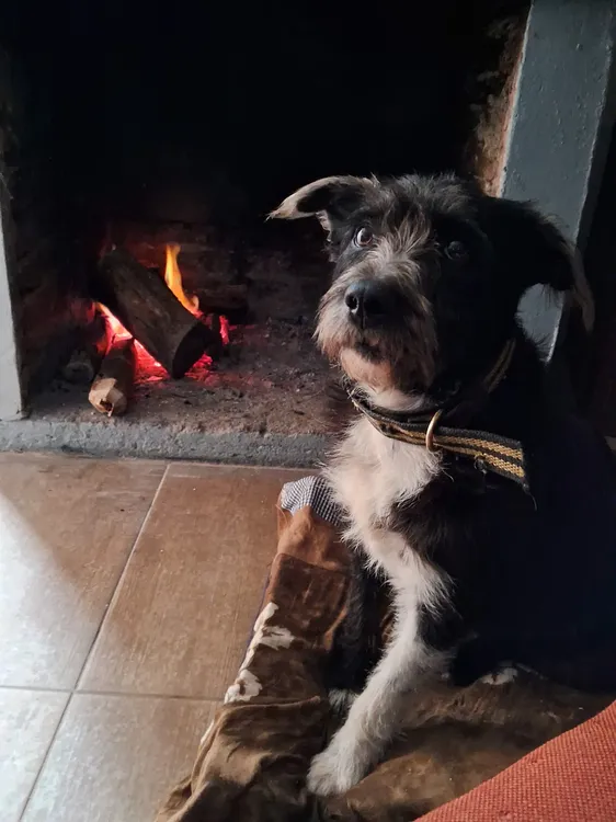 445096075_10234103613640401_309340216011049918_n