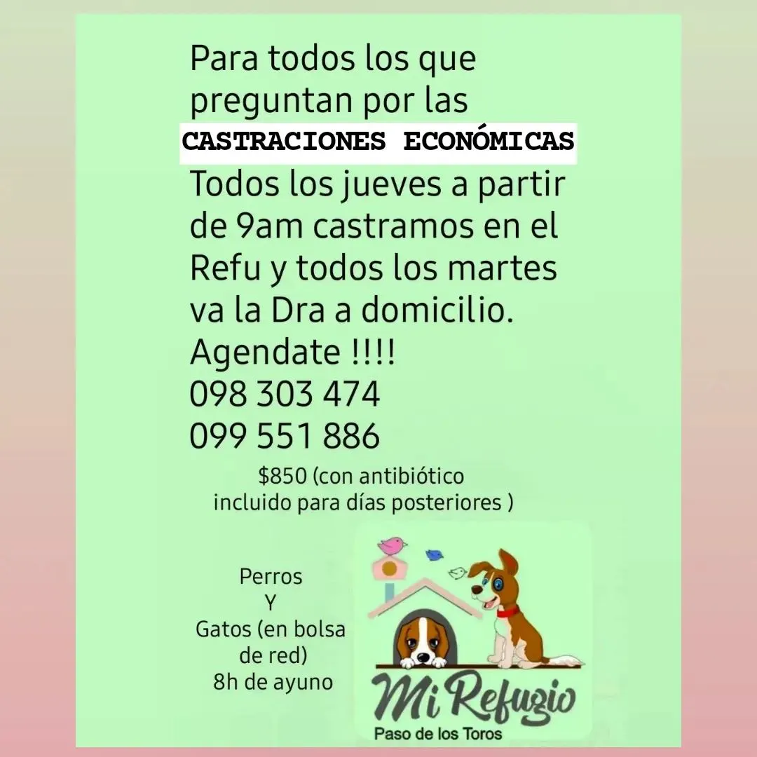 453599483_522709450108152_4504713252715159256_n