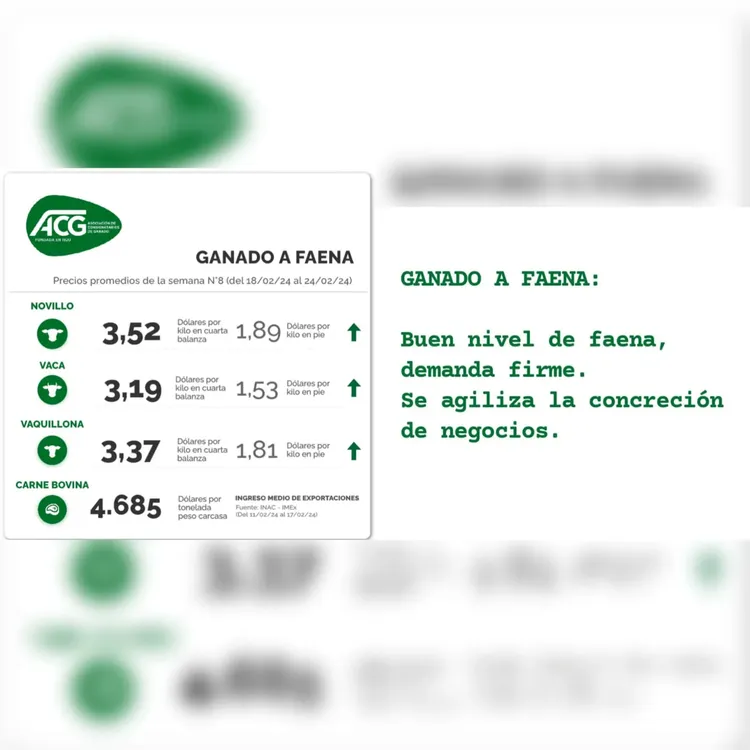 WhatsApp Image 2024-02-27 at 08.29.27 (1)