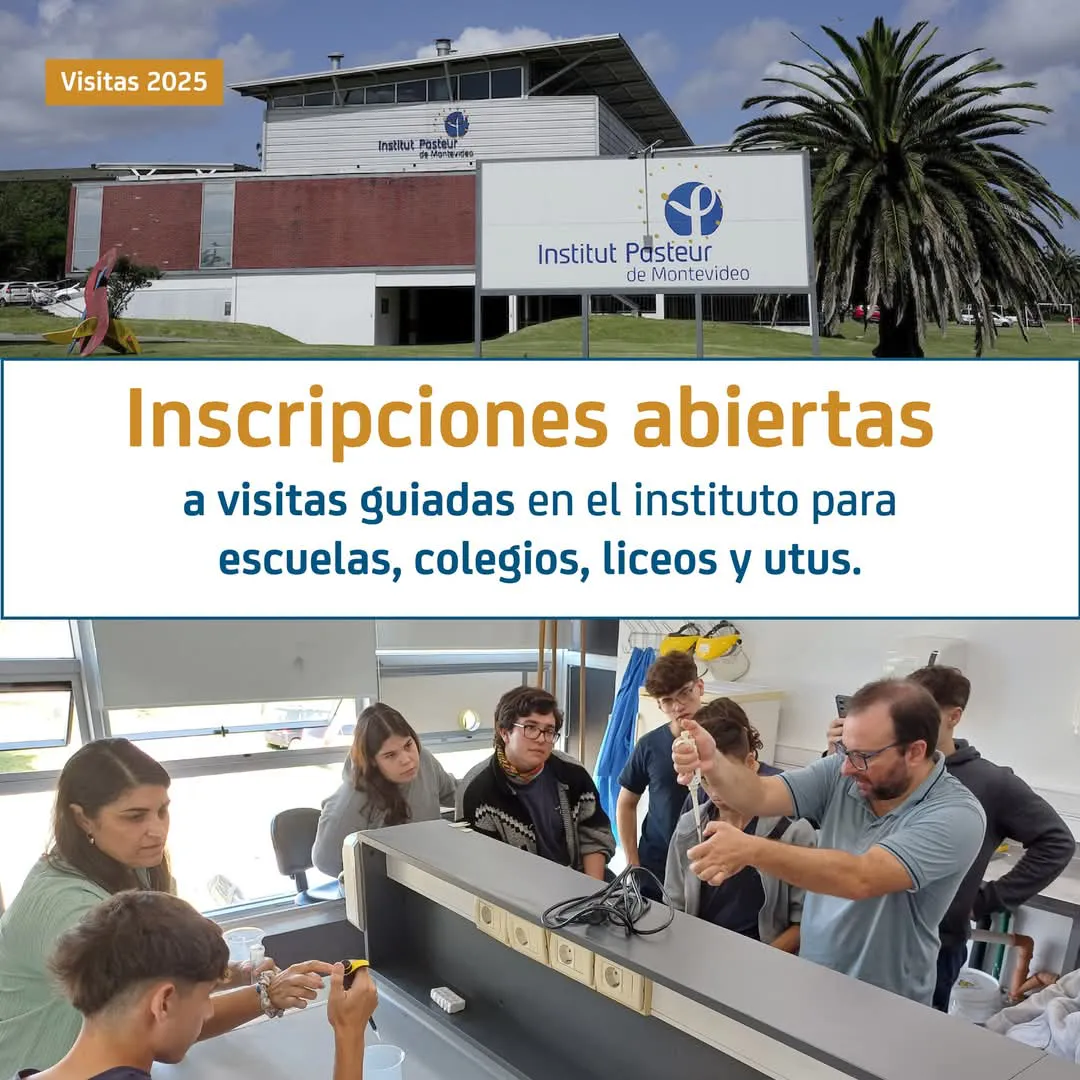 FB_IMG_1739394354890