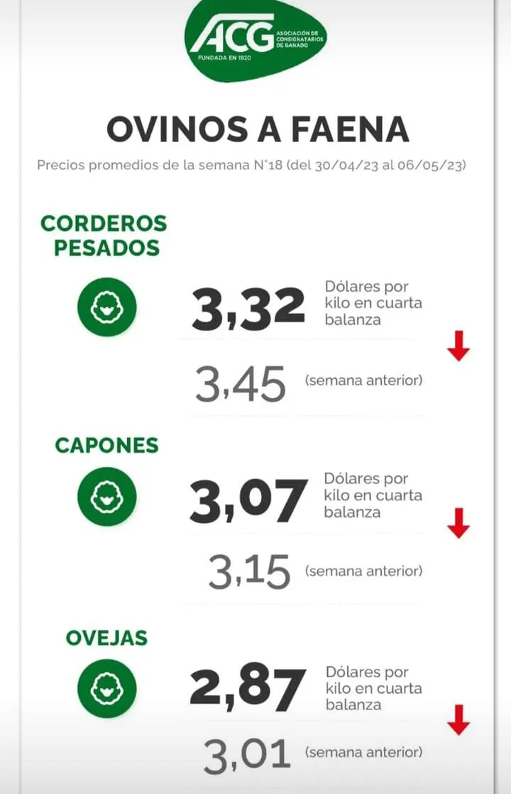 WhatsApp Image 2023-05-09 at 08.01.12