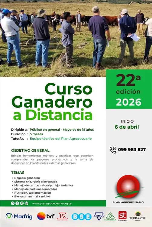 FB_IMG_1773181349736