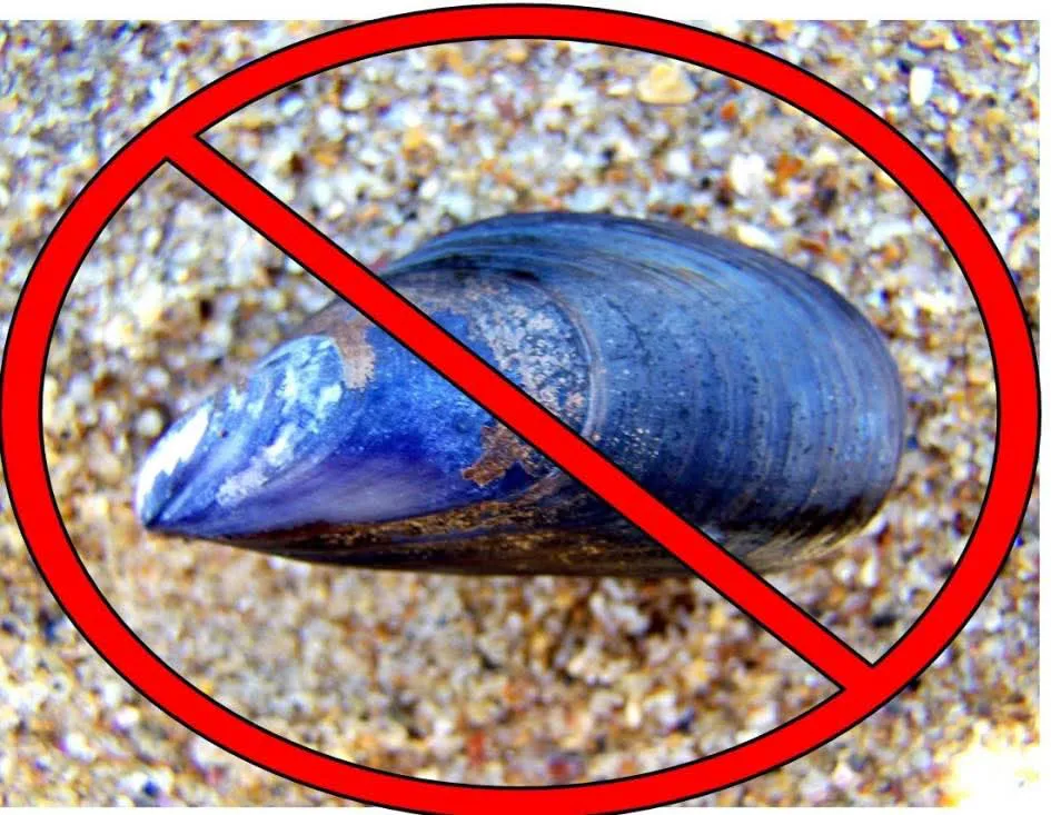 FB_IMG_1766437164548