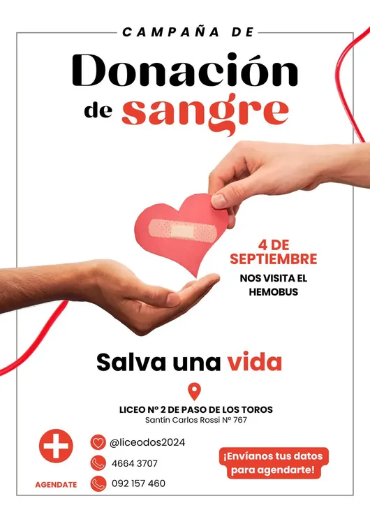 WhatsApp Image 2024-08-28 at 15.14.42