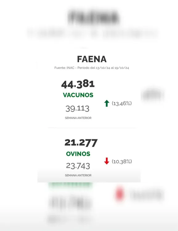 InShot_20241022_104314738