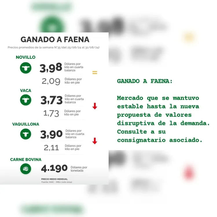 InShot_20240903_170413600