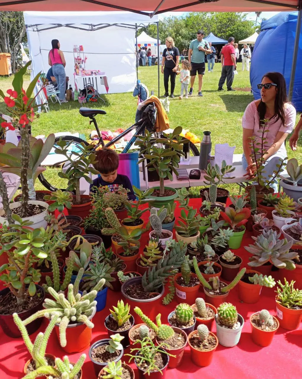 FB_IMG_1760308256604