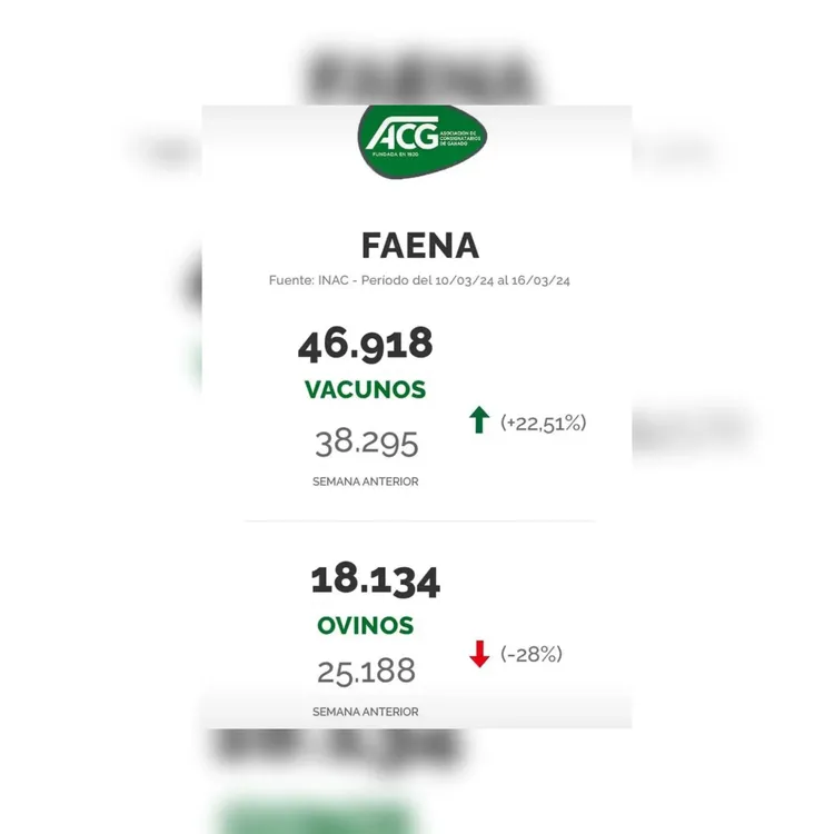 InShot_20240319_174922446