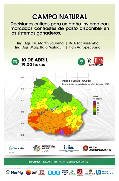 FB_IMG_1775507017152