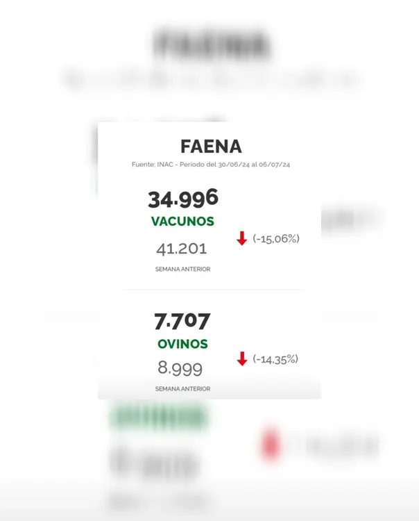 WhatsApp Image 2024-07-09 at 14.44.08