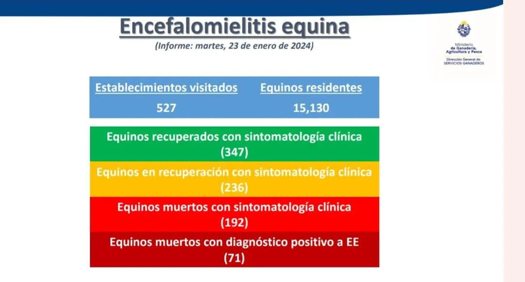 WhatsApp Image 2024-01-25 at 13.18.24