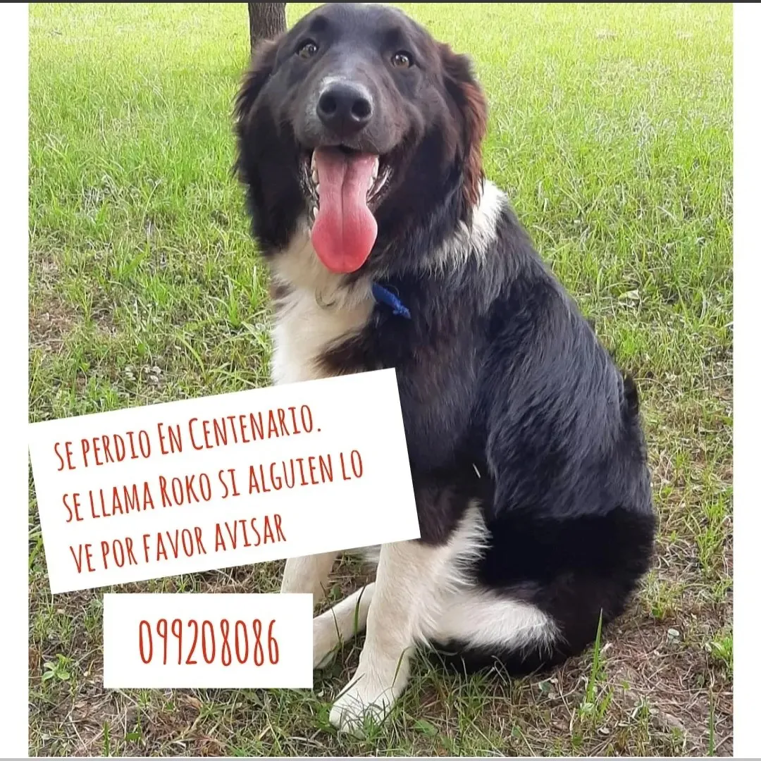 429827632_6919728771488232_213518418076908566_n