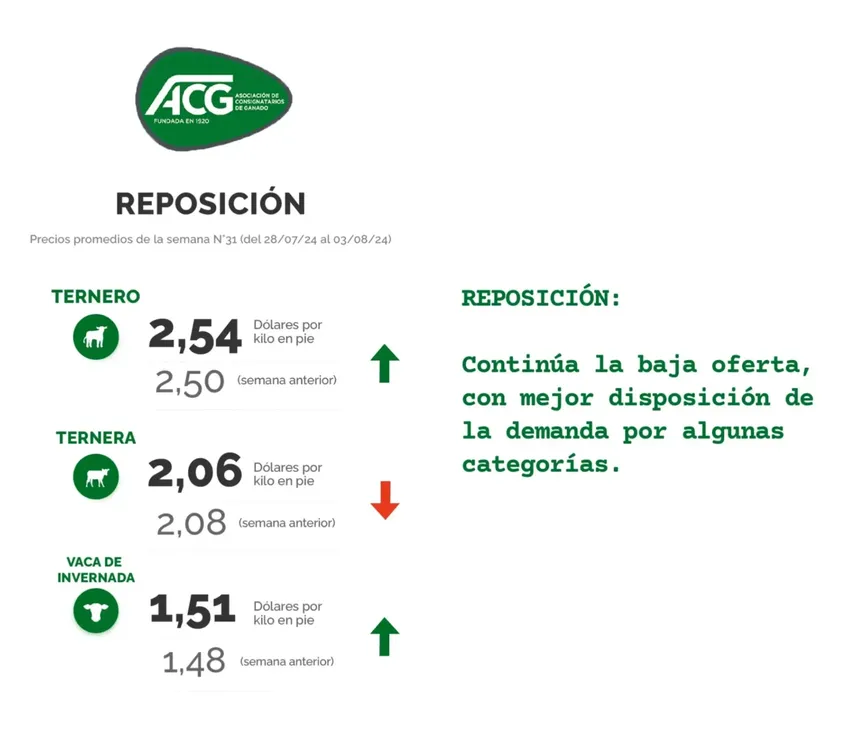 InShot_20240806_151241320