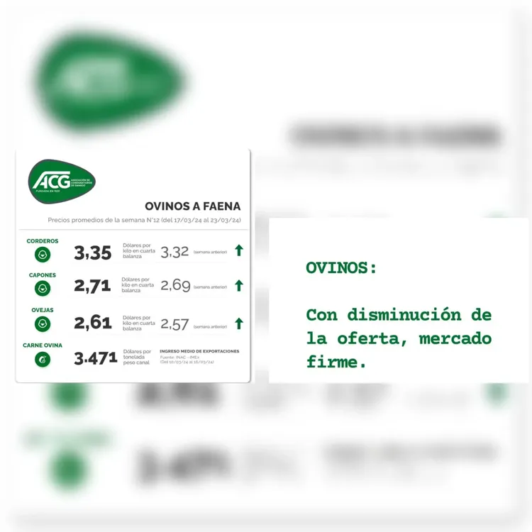 WhatsApp Image 2024-03-26 at 09.41.13 (1)