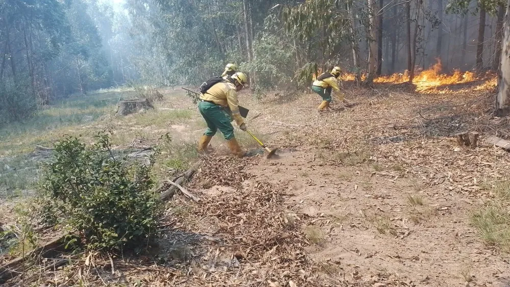 WhatsApp Image 2024-03-04 at 18.50.25 (1)