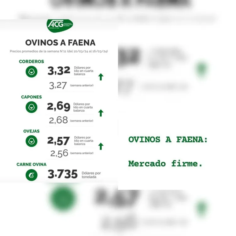 InShot_20240319_174244714