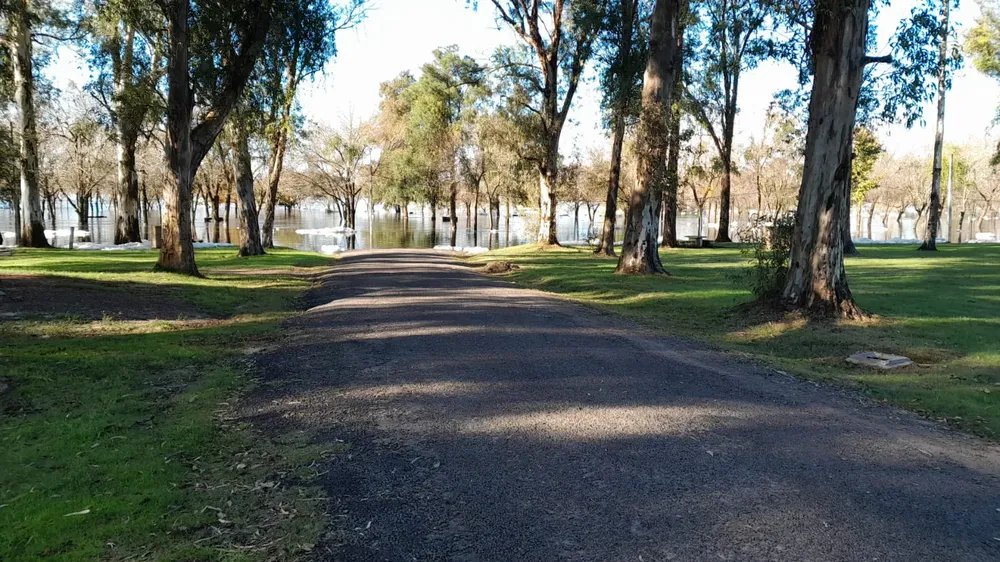 WhatsApp Image 2024-05-20 at 10.53.16 (2)