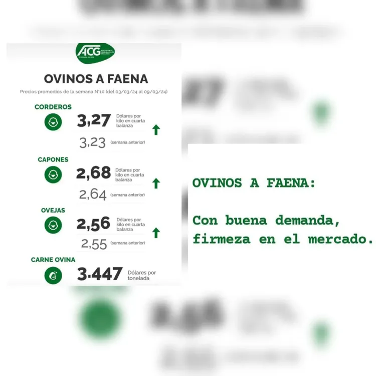 WhatsApp Image 2024-03-12 at 16.01.06