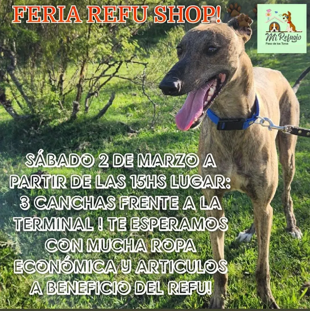 WhatsApp Image 2024-03-01 at 11.20.02