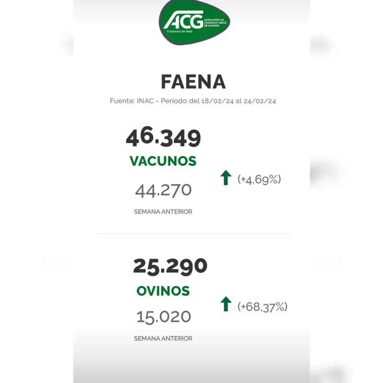 WhatsApp Image 2024-02-27 at 08.29.28