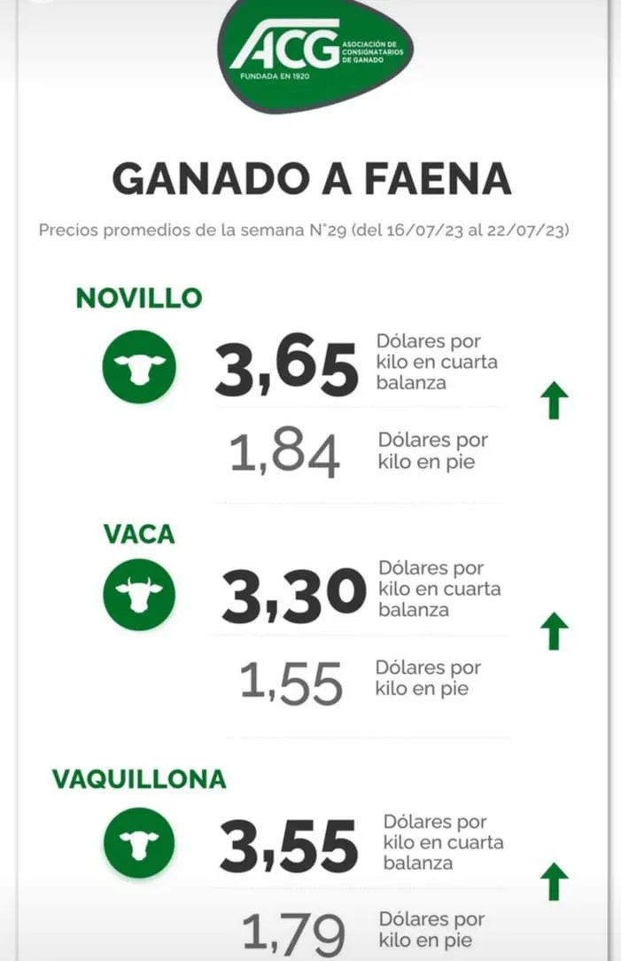 WhatsApp Image 2023-07-24 at 22.52.08