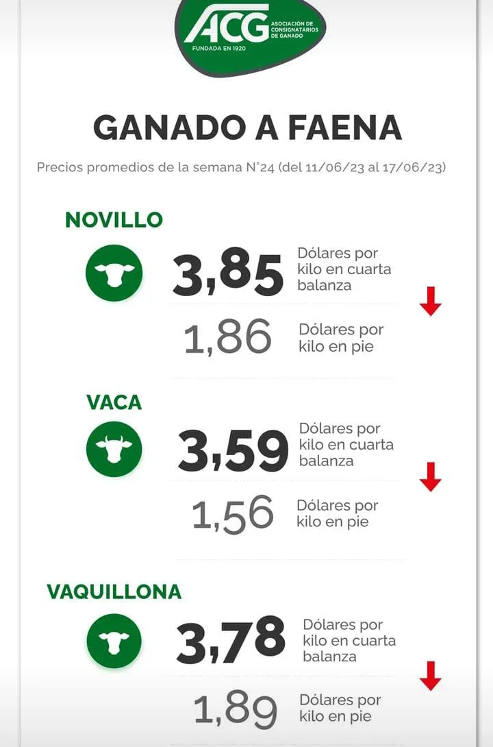 WhatsApp Image 2023-06-20 at 12.45.25