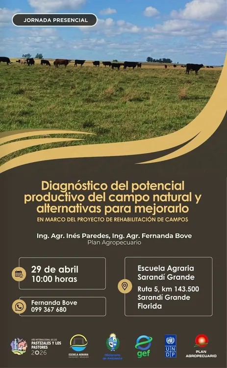 FB_IMG_1775765613478