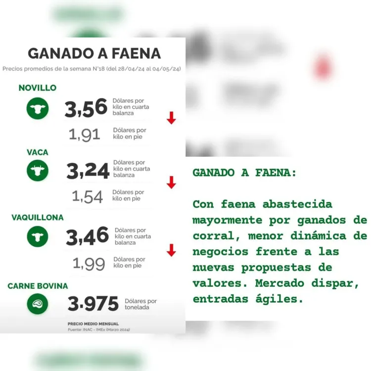 WhatsApp Image 2024-05-07 at 15.39.19