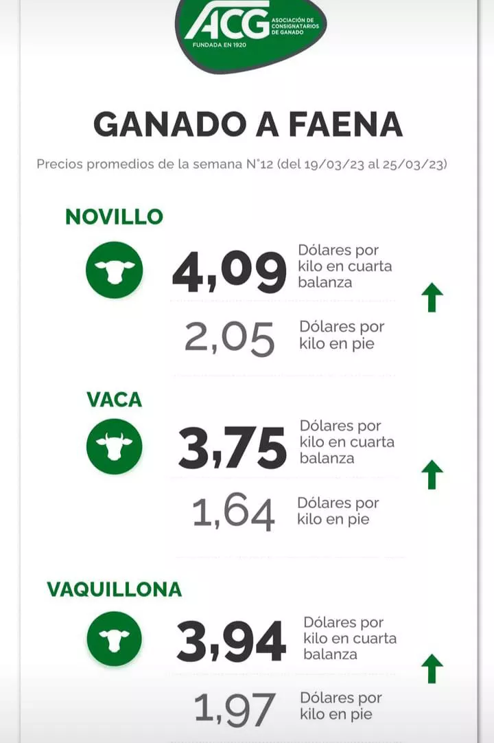 WhatsApp Image 2023-03-28 at 17.38.53