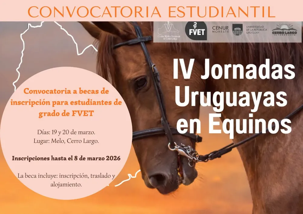 FB_IMG_1770645992870