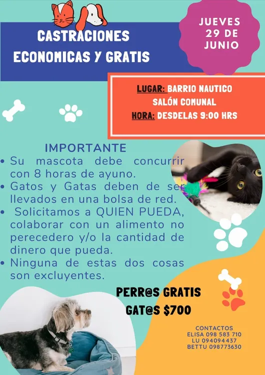 Screenshot_20230626_195914_WhatsApp