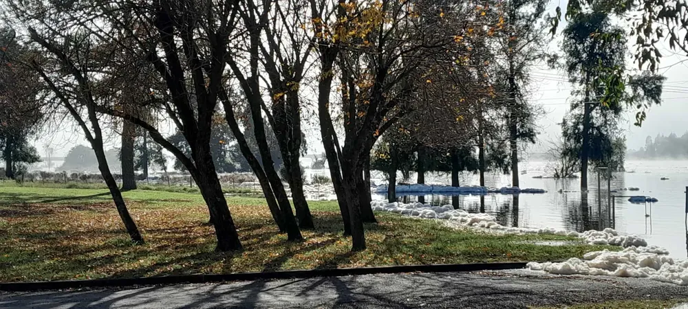 WhatsApp Image 2024-05-20 at 10.53.16