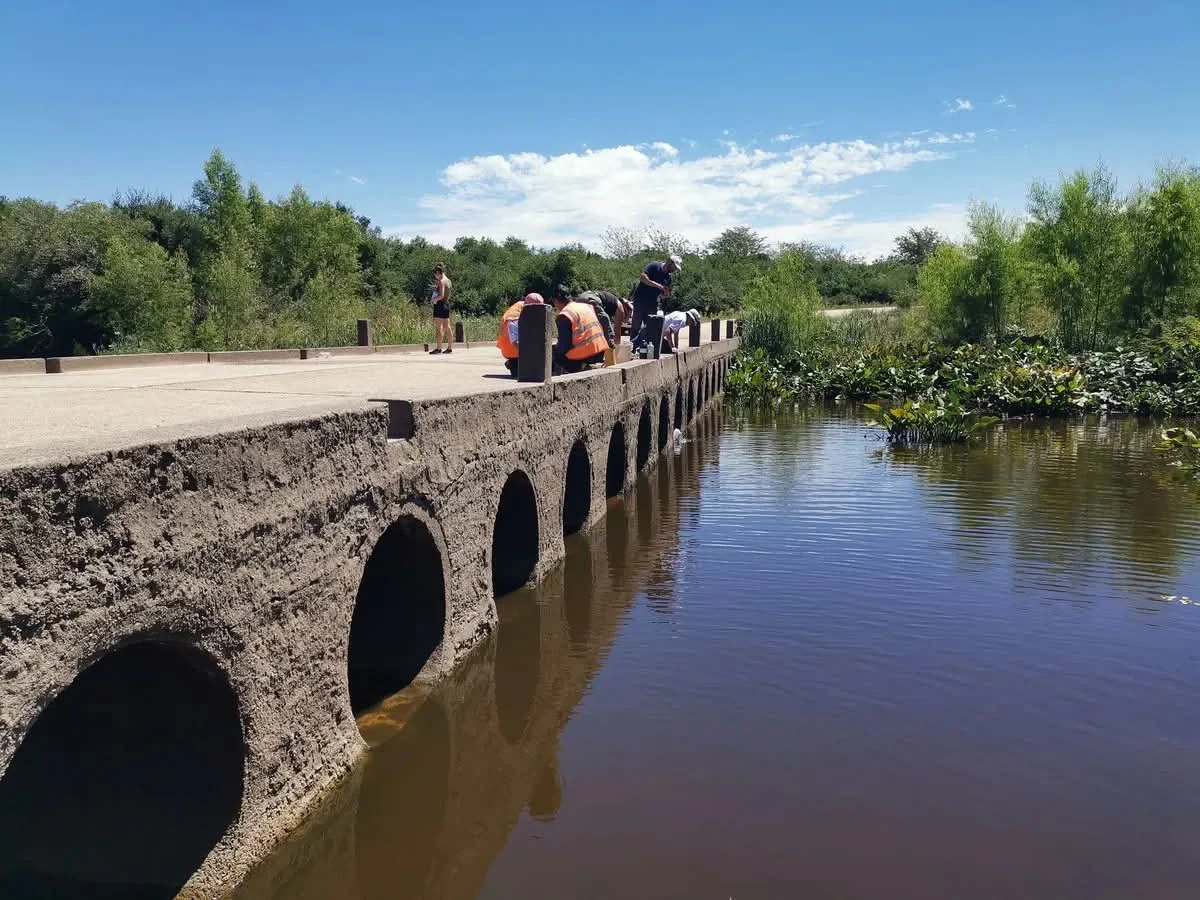 FB_IMG_1771690521715