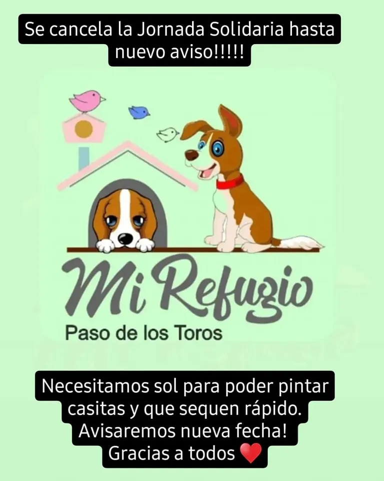 358360978_585046730491792_3507470363208315898_n