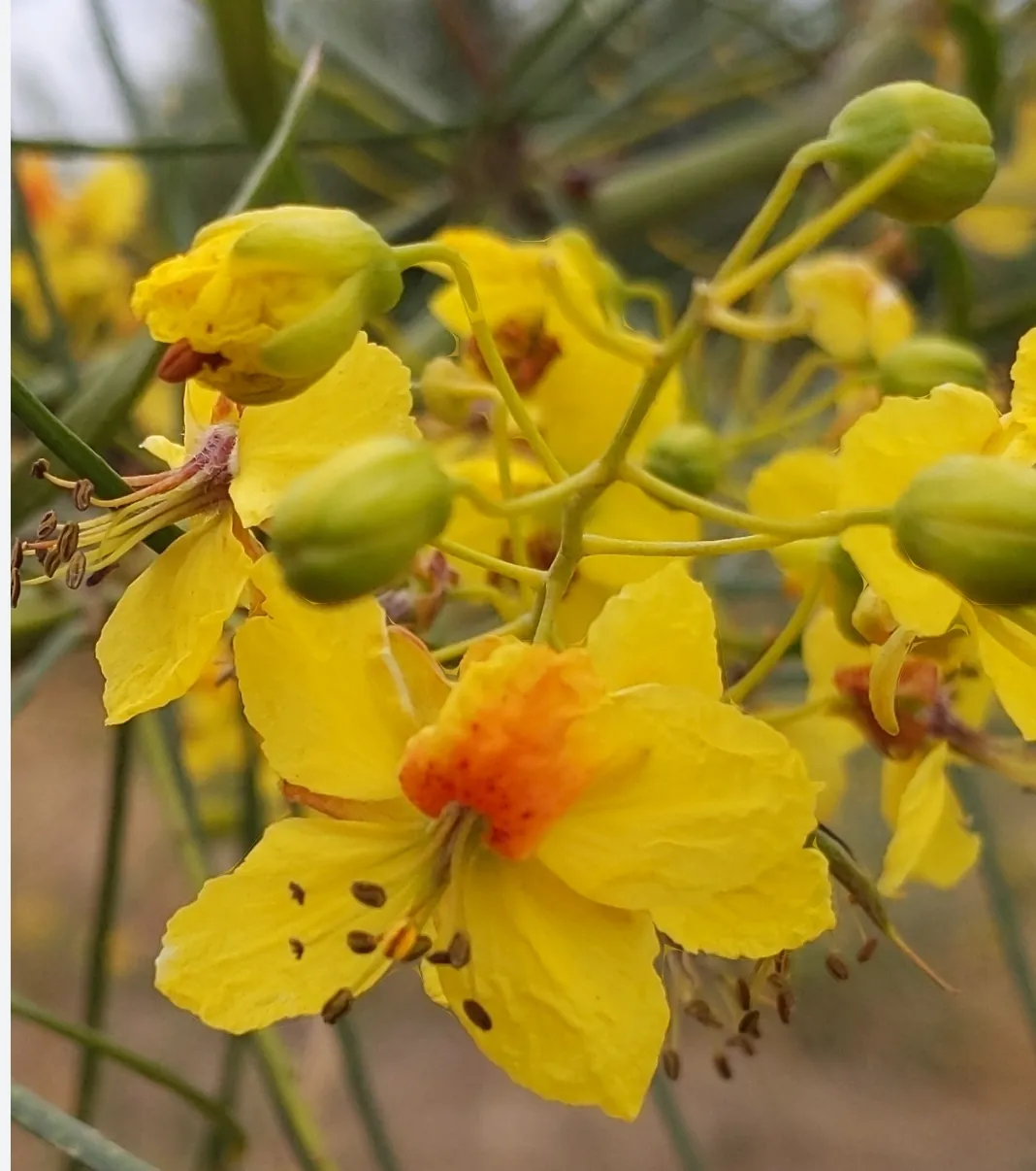 Screenshot_20241001_210941_Google