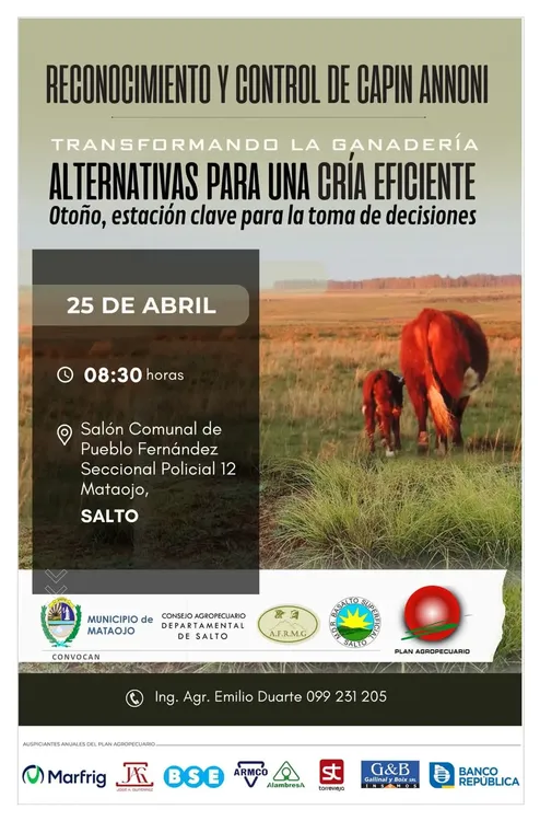 FB_IMG_1744906262945