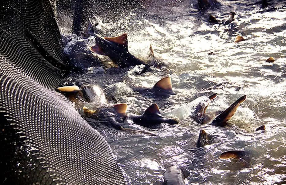 FB_IMG_1772748915481