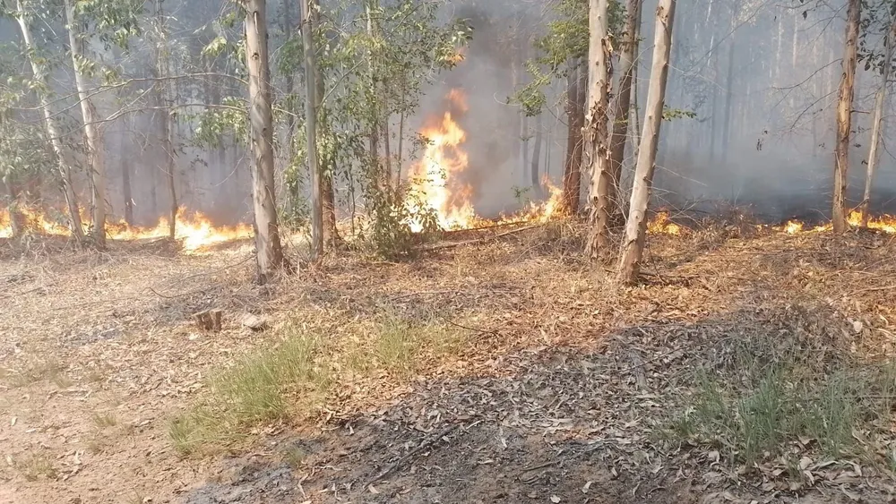 WhatsApp Image 2024-03-04 at 18.50.24