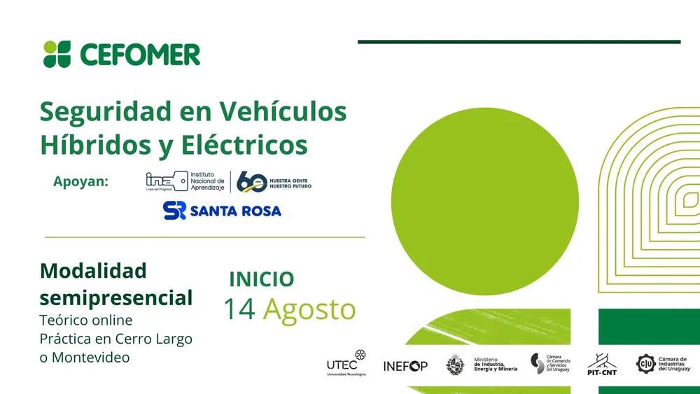 segvehicelect