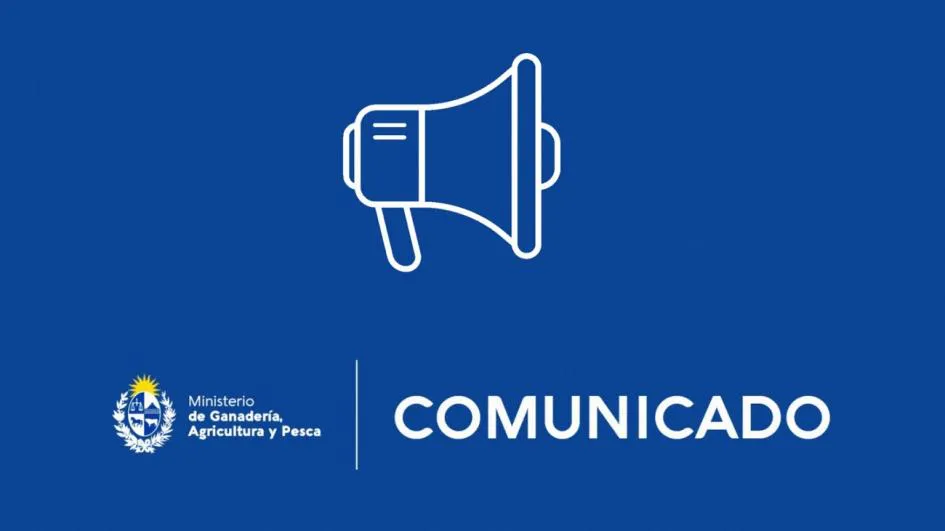 Comunicado_17
