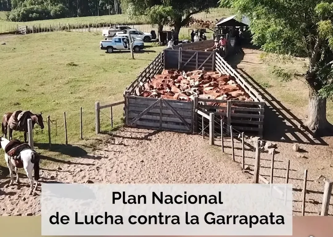 Screenshot_20260212_184014_Facebook