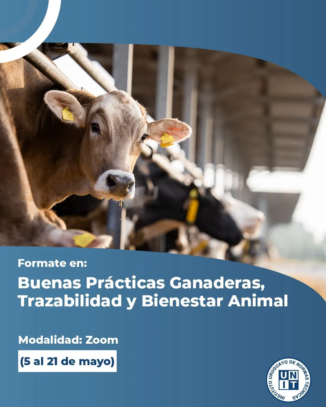 FB_IMG_1744806116061