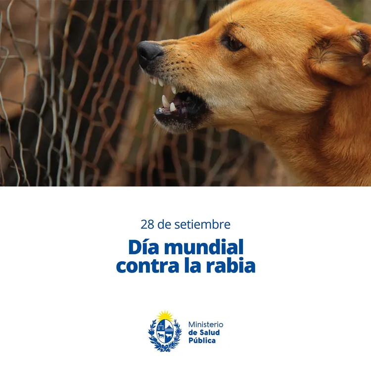 380835841_620857076885630_1485329244019137400_n