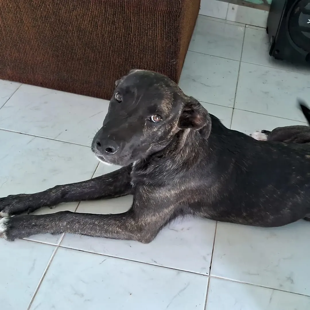 WhatsApp Image 2024-02-05 at 09.12.04 (2)